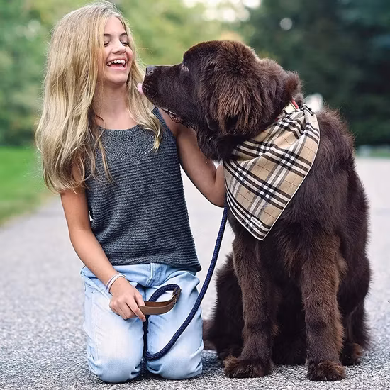 耐久性の高い犬用ロープリード ソフトレザーハンドル付き 太い犬用リードリード 大型中小型犬用