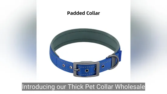 ナイロン小型犬用品 ペット用品 ペット首輪